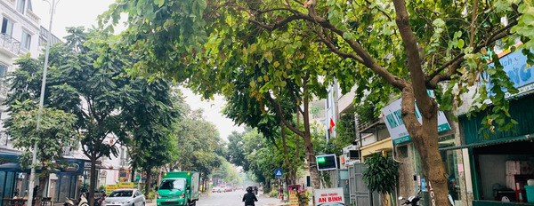 Mặt phố lô góc Văn Phú, Hà Đông, kinh doanh bất chấp, thang máy nhập khẩu, 25 tỷ-02