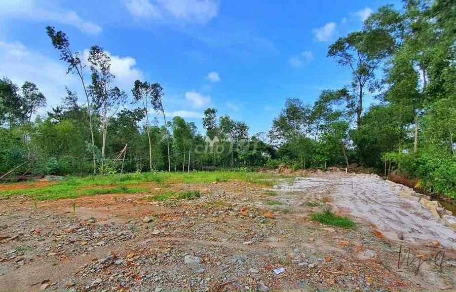 370 triệu bán đất có diện tích trung bình 102m2 vị trí thuận lợi ở Tỉnh Lộ 10C, Thừa Thiên Huế, hướng Đông Nam-01