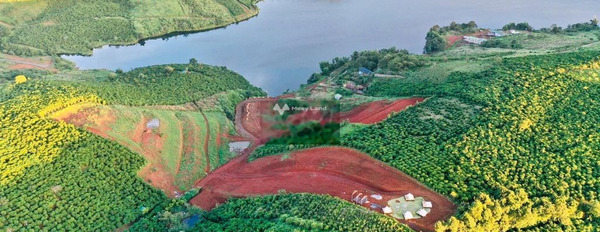 Giá rẻ từ 599 triệu bán đất diện tích rộng là 125m2 gần Lý Thái Tổ, Lộc Tân-02