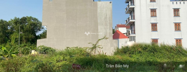 Nguyễn Hữu Trí, Hồ Chí Minh bán đất có diện tích khoảng 62m2-03