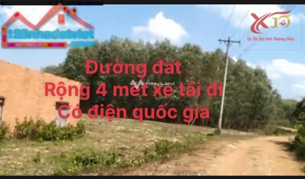 Tọa lạc tại Xuân Trường, Đồng Nai bán đất giá bán hạt dẻ từ 3.9 tỷ diện tích quy ước 9865m2, lộ rộng 4 mét-01