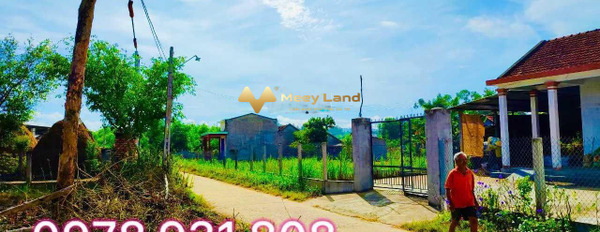 549 triệu, bán đất 354,2 m2, vị trí thuận tiện ngay tại Tịnh Bình, Quảng Ngãi, hướng Tây Nam-02