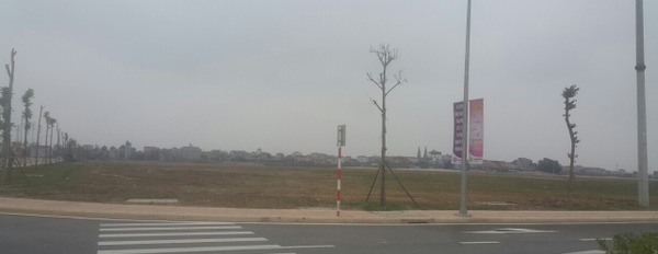 Bán đất tại khu công nghiệp Đồng Văn 4, Kim Bảng, Hà Nam. Diện tích 10000m2, giá thương lượng-02