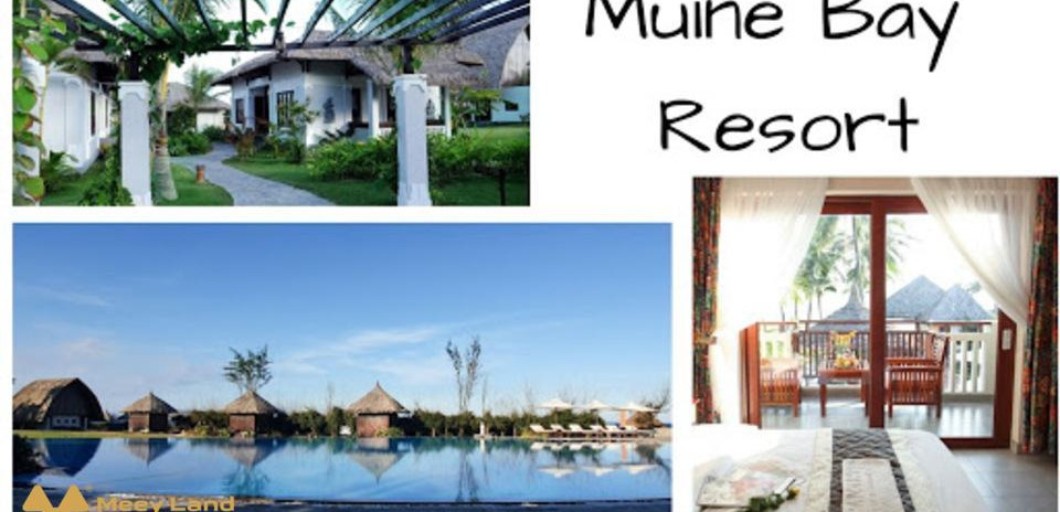 Cho thuê Muine Bay Resort Phan Thiết