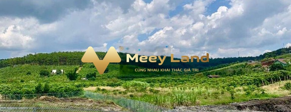 Bán mảnh đất giá siêu ưu đãi 720 triệu có tổng diện tích 200m2-03