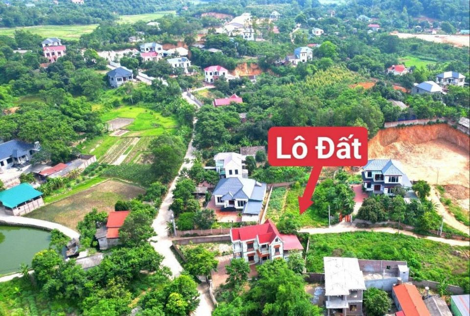 Bán đất huyện Tam Đảo tỉnh Vĩnh Phúc giá 470.0 triệu-2