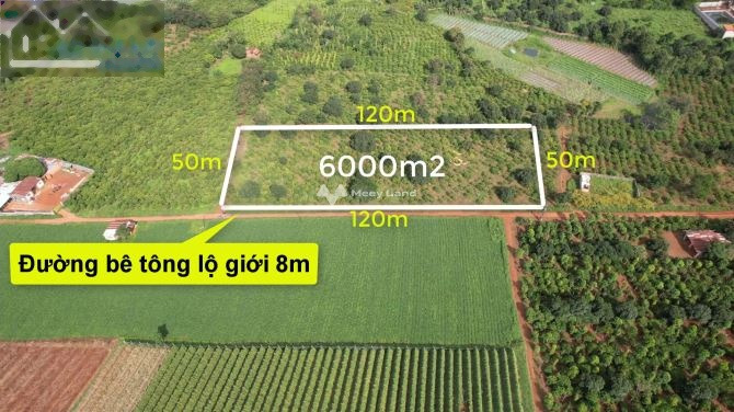 Pleiku, Gia Lai 4.8 tỷ bán đất với diện tích thực 6000m2-01