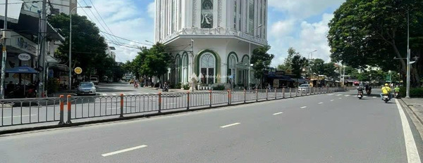 Bán gấp ngôi nhà vị trí nằm tại Bờ Bao Tân Thắng, Hồ Chí Minh giá bán 180 tỷ diện tích gồm 720m2 liên hệ chính chủ.-03
