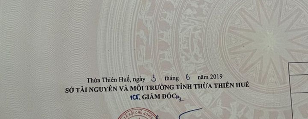 Bán đất thành phố Huế, tỉnh Thừa Thiên Huế giá 2,64 tỷ-03