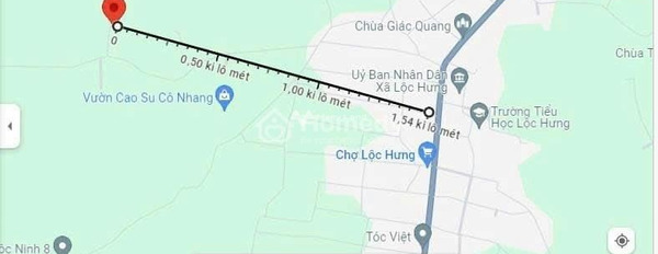 Vị trí cực kì thuận lợi ngay tại Quốc Lộ 13, Bình Phước bán đất, giá cực kì tốt 299 triệu diện tích như sau 300m2-02