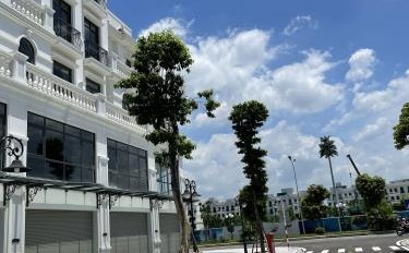 Tôi đang cần tiền nên bán cửa hàng dt chính là 482 m2 giá đầy đủ 11 tỷ vị trí thuận lợi-02