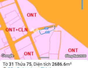 Từ 13 tỷ bán đất diện tích sàn là 2686m2 tọa lạc ngay trên Hương Lộ 10, Long Thành-03