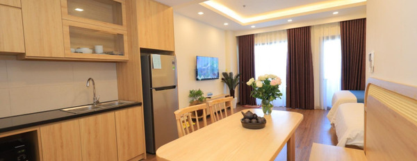 Ngay Nguyễn Văn Cừ, Bình Định bán chung cư bán ngay với giá khởi điểm chỉ 1.3 tỷ, căn hộ này bao gồm 1 PN, 1 WC cực kì tiềm năng-02