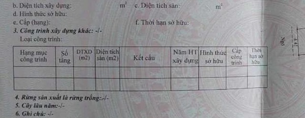 Bán đất tặng 7 phòng trọ đang khu Tứ Thông, Tứ Minh, 116.5m2-03