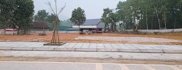 Giá 700 triệu bán đất với diện tích thực 151m2 vị trí mặt tiền tại Tu Vũ, Thanh Thủy, hướng Đông - Nam-03