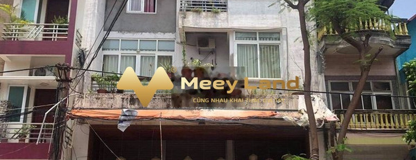 Bán nhà có dt 300 m2 vị trí đẹp ở Trần Nguyên Hãn, Bắc Giang giá bán đặc biệt 14.8 tỷ trong nhà có tổng cộng 1 phòng ngủ, 6 WC-02