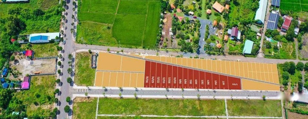 Long Tân, Đất Đỏ bán đất giá cực rẻ từ 900 triệu có diện tích chung 100m2-02