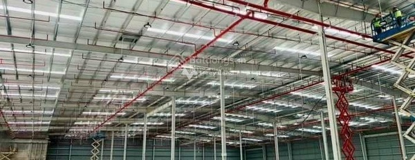 Tài chính khó khăn cho thuê kho bãi diện tích thực như trên hình 2000m2 vị trí thuận lợi tọa lạc trên Hoàng Động, Thủy Nguyên còn chần chờ gì nữa-03