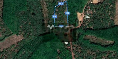 Giá bán khủng chỉ 380 triệu bán đất có diện tích sàn 2246m2 mặt tiền nằm tại Tân Phước, Bình Phước-03