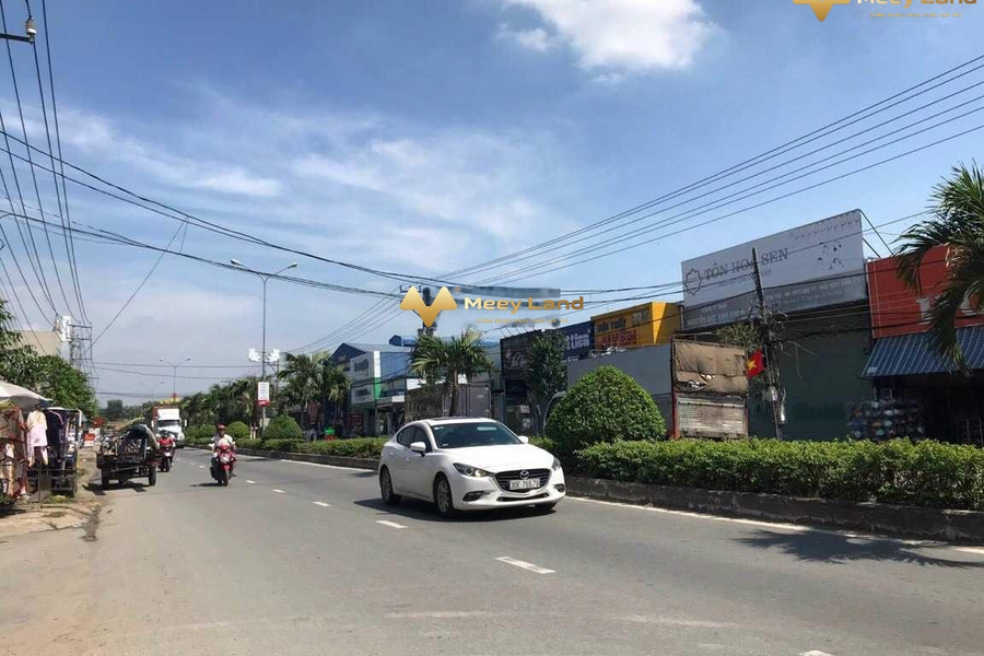 Bán đất diện tích 78m2 Ba Ngừa, Đức Hòa, giá 750 triệu-01