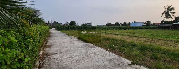 An Lục Long, Long An bán đất giá mua liền từ 650 triệu có một diện tích 290m2-02