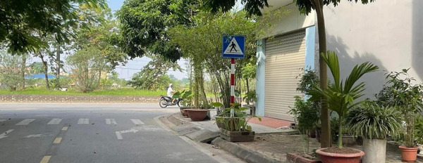 Bán lô đất mặt phố Lê Văn Hưu, phường Tứ Minh, Tp Hải Dương -02