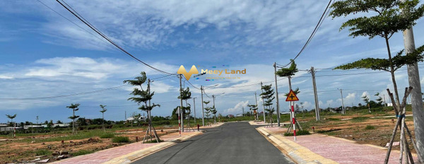 Bán đất Đường Xoài Quỳ, Xã Hàm Thắng diện tích là 100 m2-02