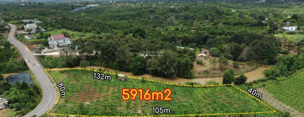 Tại Bảo Lâm, Lâm Đồng bán đất 9.5 tỷ có diện tích chung là 6m2-02