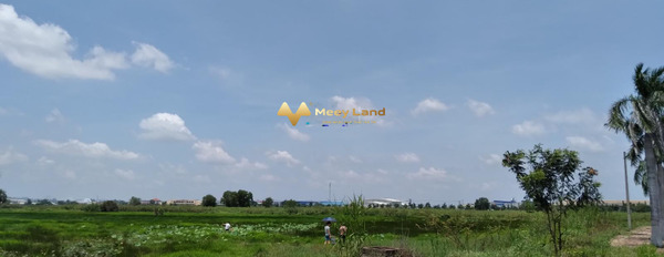 Cần xoay sở tiền bán mảnh đất, 50000 m2 giá bán thực tế chỉ 210 tỷ vị trí đẹp ngay ở Xã An Phước, Tỉnh Đồng Nai giá cực mềm-02
