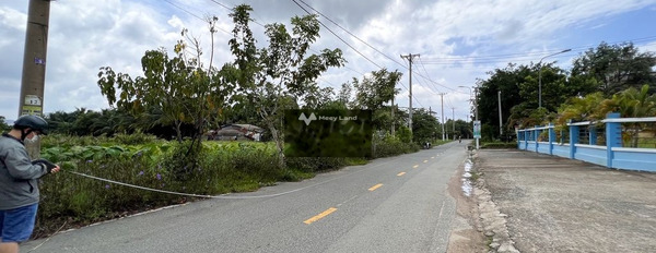 Giá hấp dẫn 14 tỷ, Bán đất diện tích tầm trung 1600m2 vị trí ở Hóc Môn, Hồ Chí Minh giá tốt nhất-02