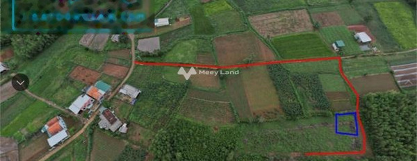 Khoảng 99 triệu bán đất với diện tích tiêu chuẩn 200m2 vị trí đặt vị trí nằm trên Bình Sơn, Quảng Ngãi-03