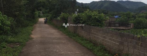 Chiềng Sơn, Mộc Châu bán đất giá bất ngờ từ 700 triệu với diện tích chuẩn 960m2-02
