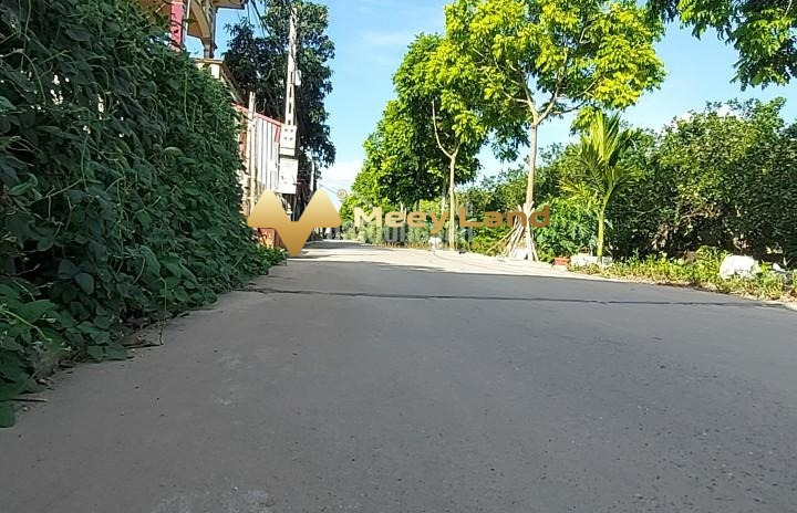 Đang thiếu tiền trả nợ bán đất Đường Đan Kim, Huyện Văn Giang diện tích thực dài 245 m2