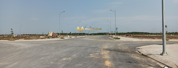 Bán đất tại Đường Hương Lộ 2, Tỉnh Đồng Nai, giá 1,3 tỷ, diện tích 80m2-03