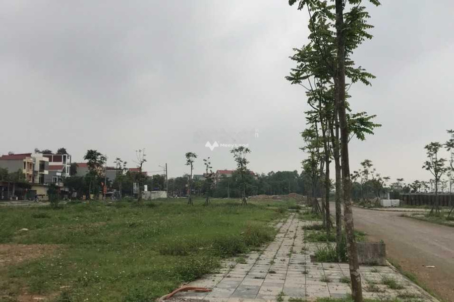 Việt Yên, Bắc Giang bán đất, hướng Đông - Nam có diện tích rộng 90m2-01