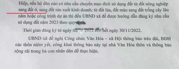 Với tổng diện tích 1400m2 bán đất giá cực mềm chỉ 390 triệu-03