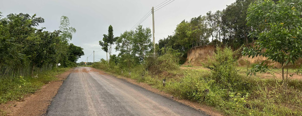 Vị trí thuận lợi ngay ở Bù Đốp, Bình Phước bán đất giá bán giao lưu từ 266 triệu diện tích chung là 2833m2-03