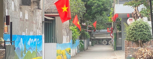 Mua bán đất huyện Thạch Thất Thành phố Hà Nội giá 1 tỷ-03
