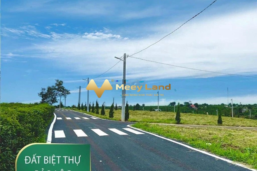 Giá đàm phán 439 triệu, Bán đất diện tích thực tế 130 m2 vị trí thuận tiện ngay tại Xã Lộc An, Huyện Bảo Lâm vị trí thuận lợi-01