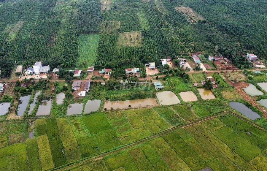 Nhà gồm 3 PN bán nhà bán ngay với giá siêu khủng chỉ 11 tỷ có diện tích 200000m2 vị trí ở Đắk Môl, Đắk Song-01