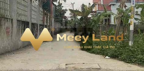 Bán đất vị trí ngay trên Cống Mỹ, An Dương. Diện tích 60m2, giá 900 triệu-03