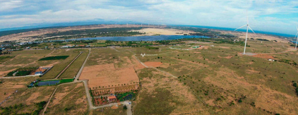 Bán đất 1.5 tỷ Hòa Thắng, Bình Thuận diện tích rộng lớn 3010m2-02