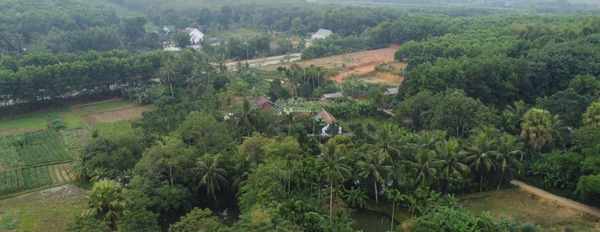 Vị trí đặt ở tại Triệu Sơn, Thanh Hóa bán đất, giá bán quy định 299 triệu diện tích quy đổi 169.3m2-03