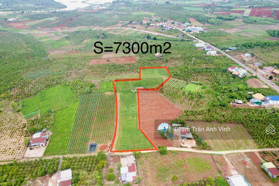 9 tỷ bán đất diện tích tiêu chuẩn 7300m2 tọa lạc ở Đức Trọng, Lâm Đồng-01