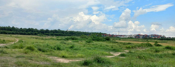 Bán lô đất 7,1 ha tại thị trấn Tân Túc, Bình Chánh, Thành phố Hồ Chí Minh-03