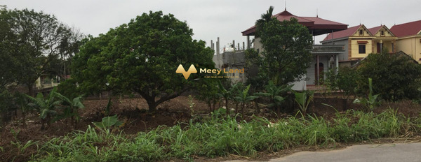 Ở Cổ Đô, Hà Nội bán đất, giá thực tế từ 4.2 tỷ Diện tích nền 400 m2-02