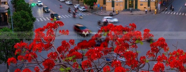 Cho thuê mặt bằng thương mại diện tích 250m2 vị trí thuận lợi nằm ở Minh Khai, Hải Phòng-02