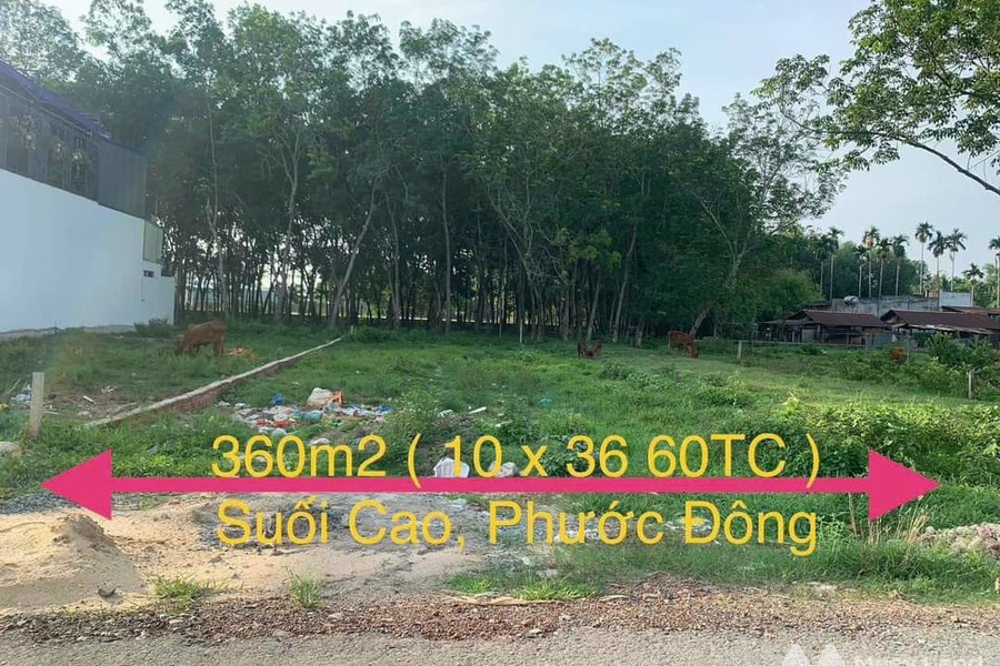 Đất đẹp vị trí kinh doanh 386m2 mặt tiền nhựa, Phước Đông, Gò Dầu, Tây Ninh-01