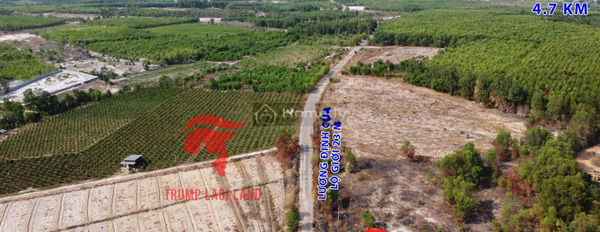 Ở Lương Định Của, La Gi bán đất 3.2 tỷ với diện tích thực 1005m2-02