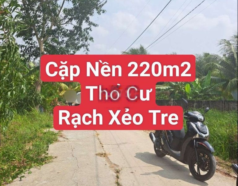 Chủ ngộp bán gấp cặp nền Rạch Xẻo Tre, Ba Láng, Cái Răng -01